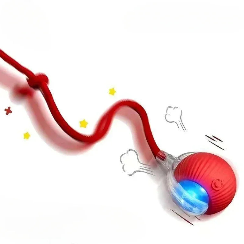 Pet Interactive Ball Toy, Automatic Rolling Ball