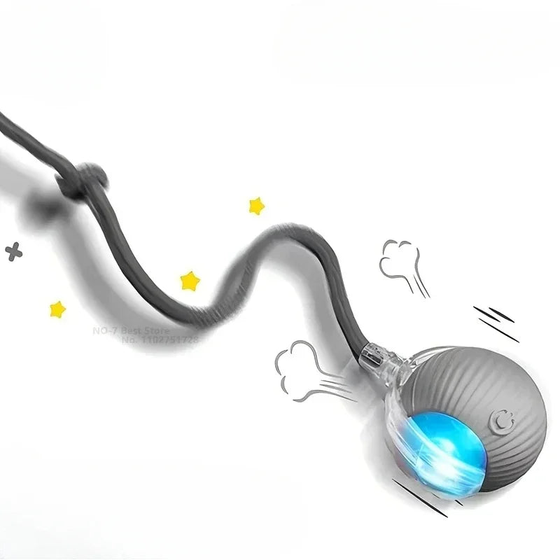Pet Interactive Ball Toy, Automatic Rolling Ball