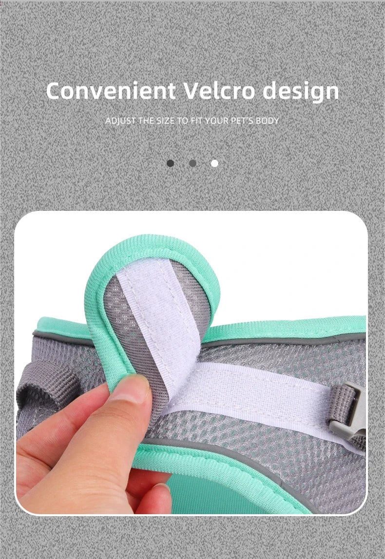DUOMM Pet Harness