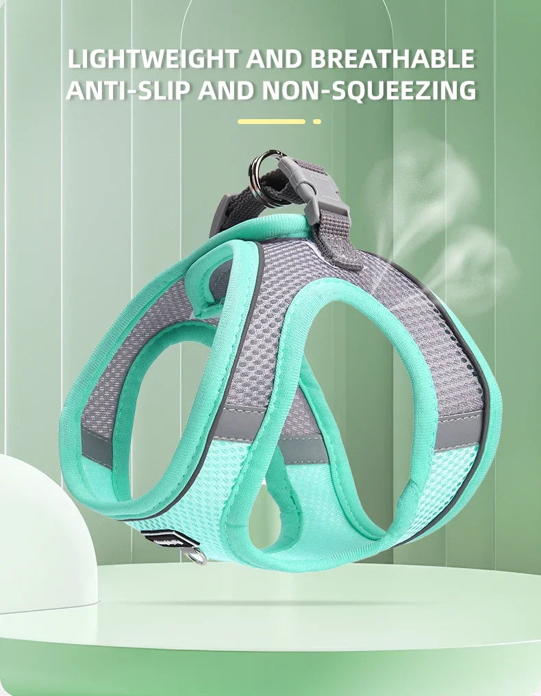 DUOMM Pet Harness