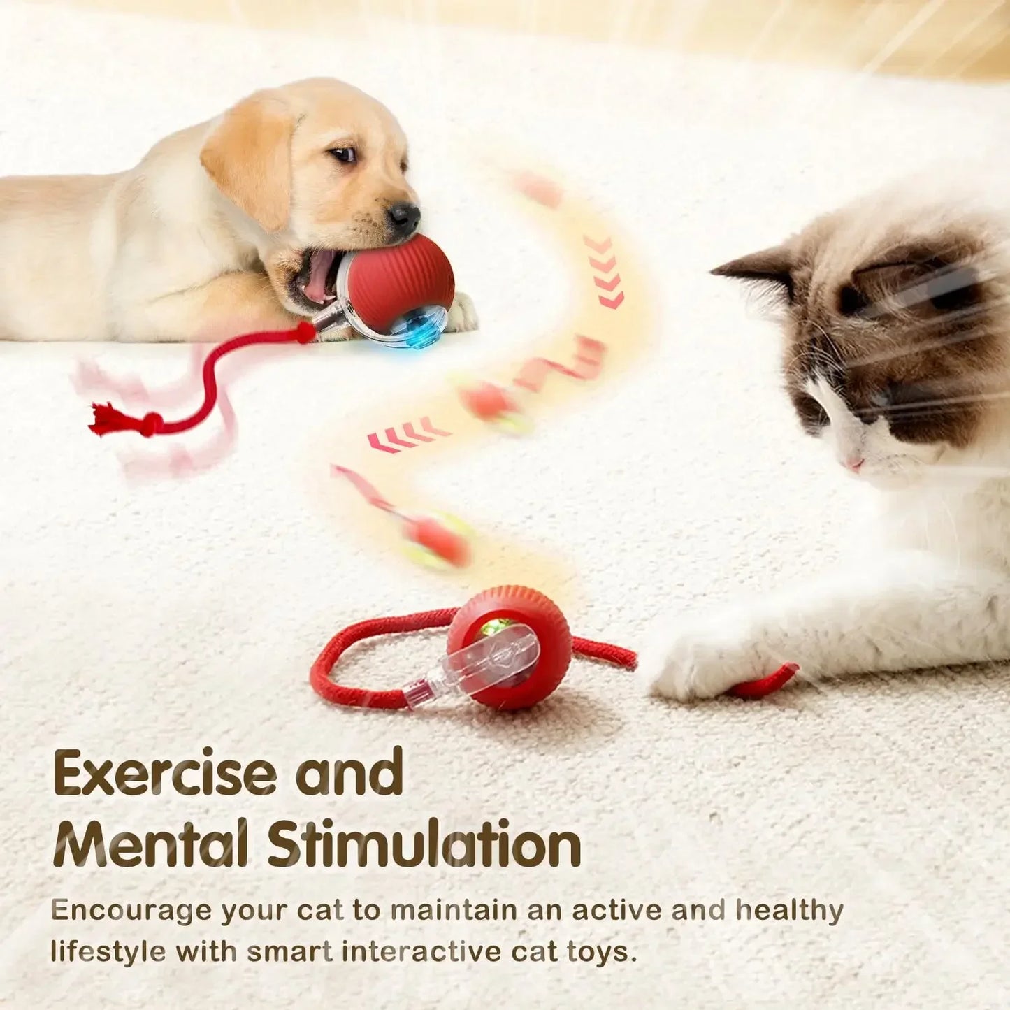 Pet Interactive Ball Toy, Automatic Rolling Ball
