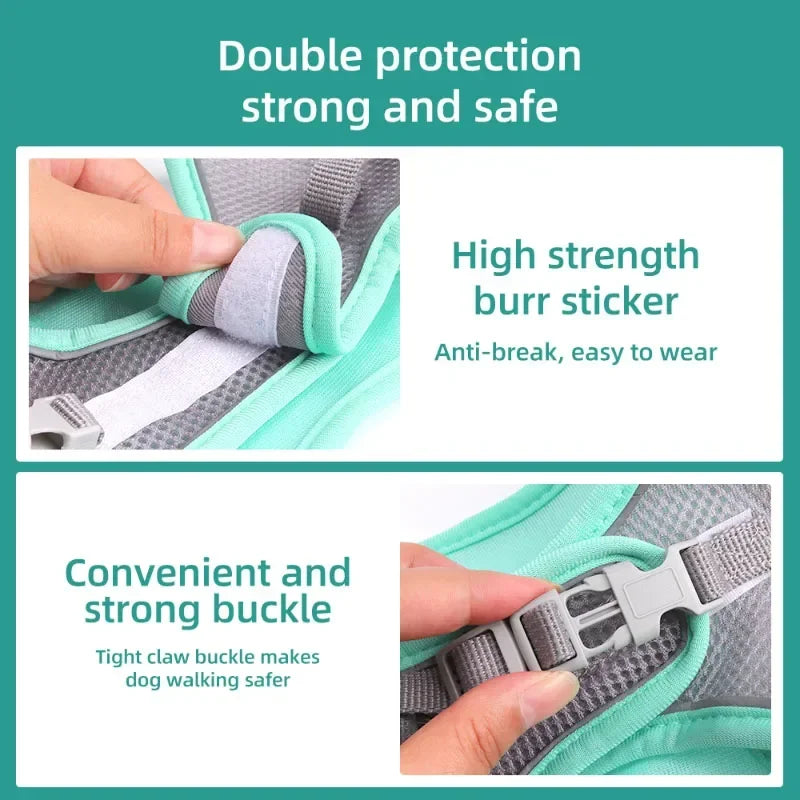 DUOMM Pet Harness
