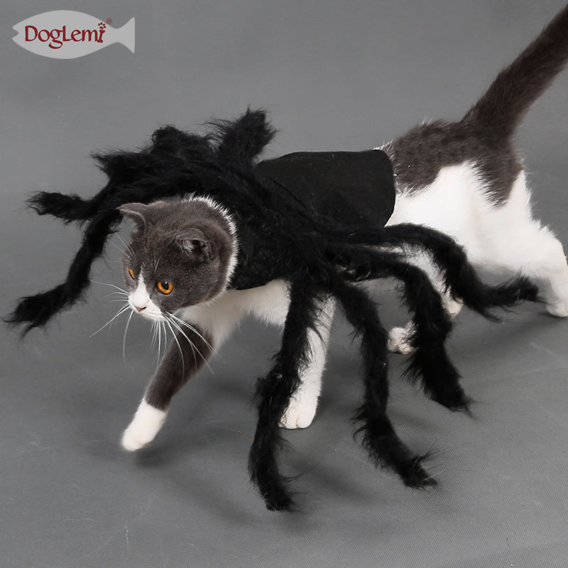 Halloween pet spider clothes for dogs and cats