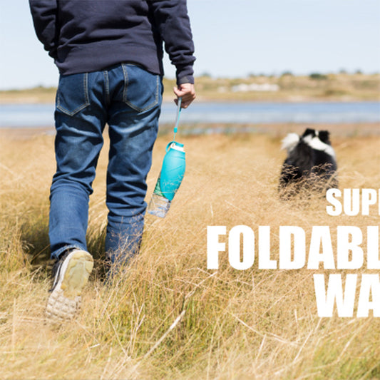 Dog outdoor water bottle